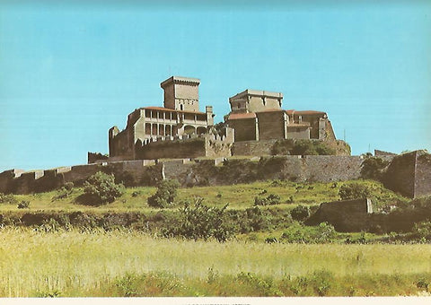 Lamina 12245: Castillo de Monterrey en Verin Orense