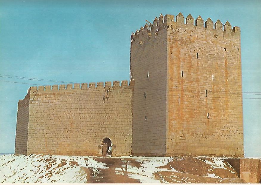 Lamina 12249: Castillo de Monzon de los Campos Palencia