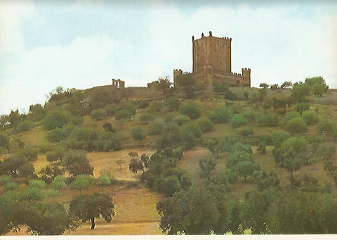 Lamina 12252: Castillo de Nogales Badajoz