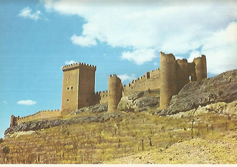 Lamina 12255: Castillo de Peñaranda de Duero Burgos