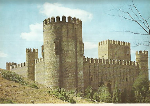 Lamina 12265: Castillo de San Servando Toledo