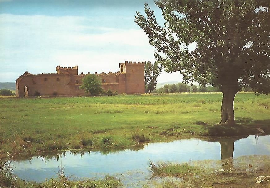 Lamina 12275: Castillo de Sotopalacios Burgos