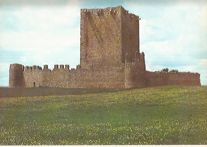 Lamina 12277: Castillo de Tiedra Valladolid