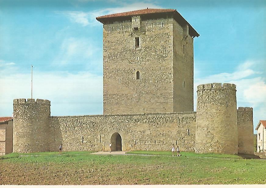 Lamina 12280: Torre de Mendoza Alava