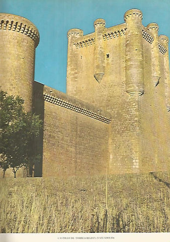 Lamina 12282: Castillo de Torrelobaton Valladolid