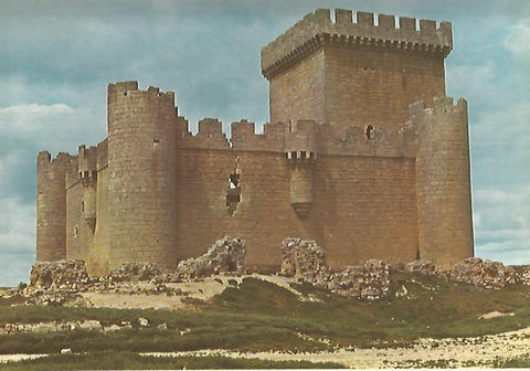 Lamina 12289: Castillo de Villalonso Zamora