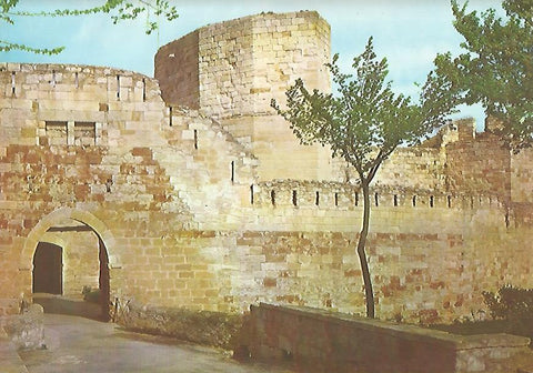 Lamina 12290: Castillo de Zamora