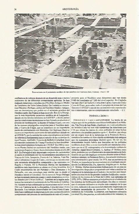 LAMINA ESPASA 31218: Excavaciones neoliticas en Clairvaux Francia