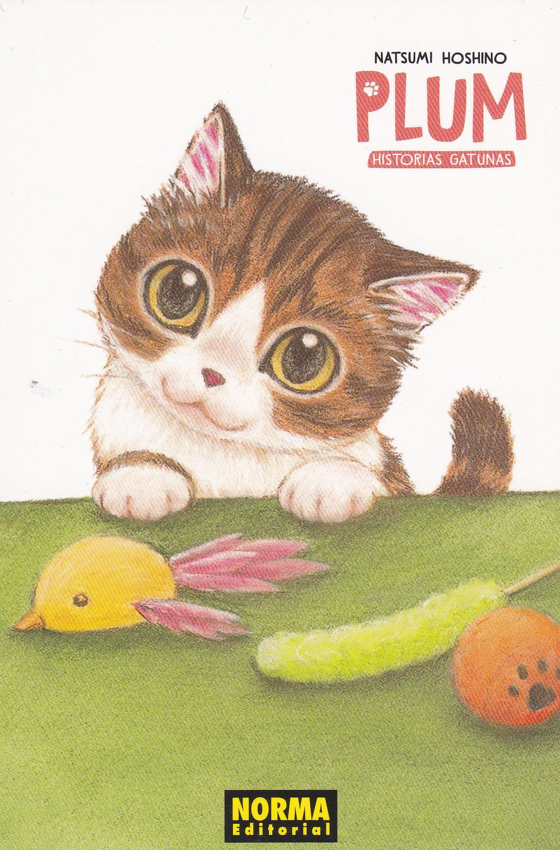 POSTAL B9570: NATSUMI HOSHINO. PLUM