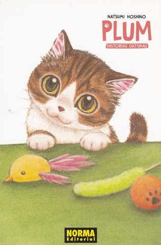 POSTAL B9570: NATSUMI HOSHINO. PLUM