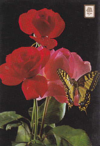 POSTAL B9621: ROSAS Y MARIPOSA
