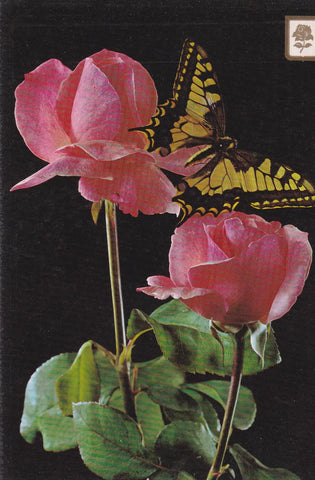 POSTAL B9625: ROSAS Y MARIPOSA. 2