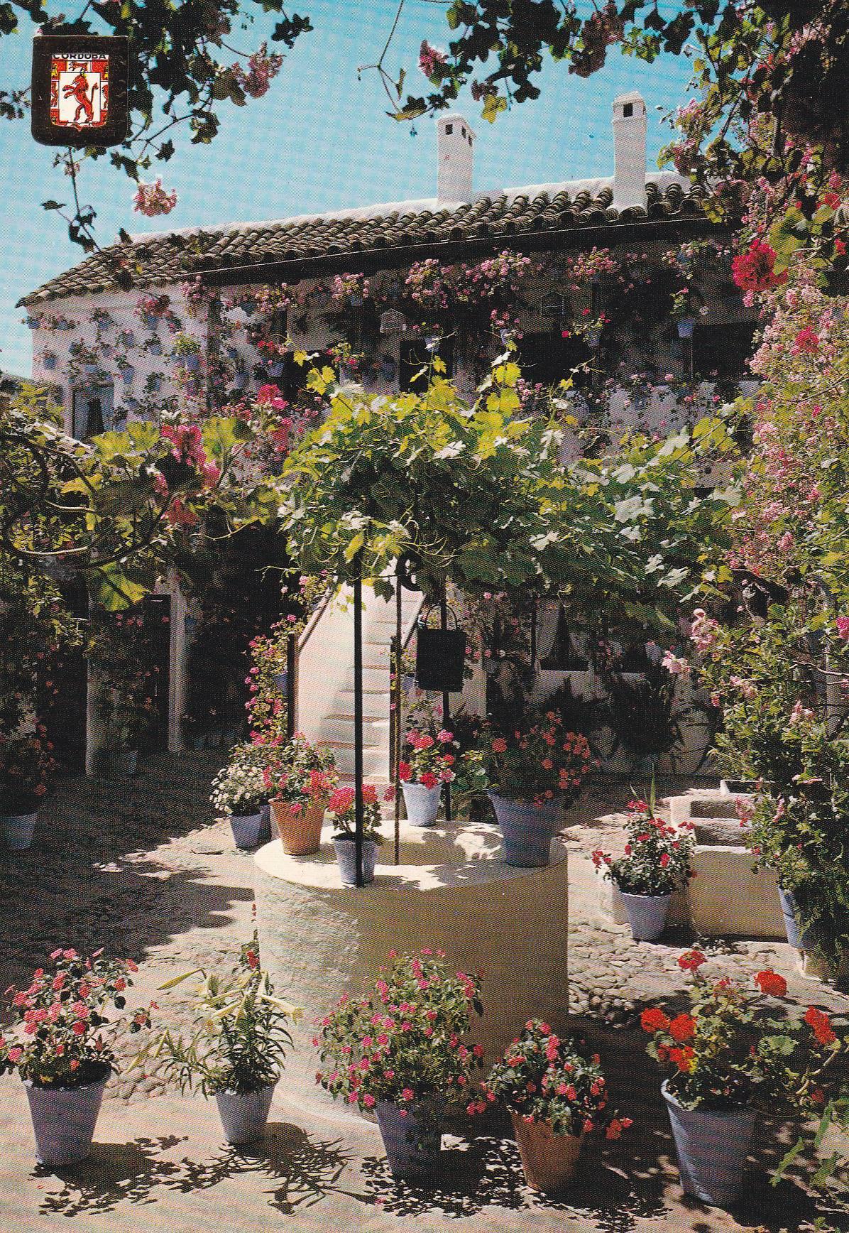 POSTAL B9724: CORDOBA: PATIO INTERIOR