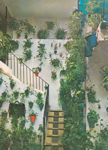 POSTAL B9775: VALENCIA: LA LONJA