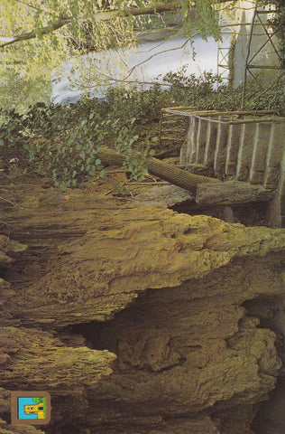 POSTAL B9784: ZARAGOZA: MONASTERIO DE PIEDRA