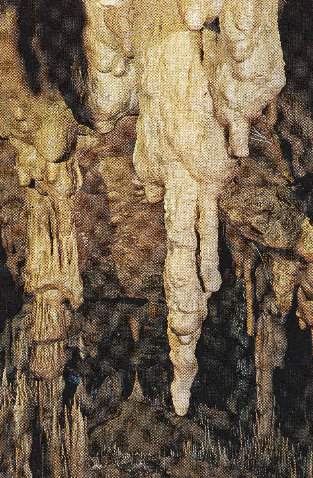 POSTAL B9843: CUEVAS ALTAMIRA: ESTALACTITAS