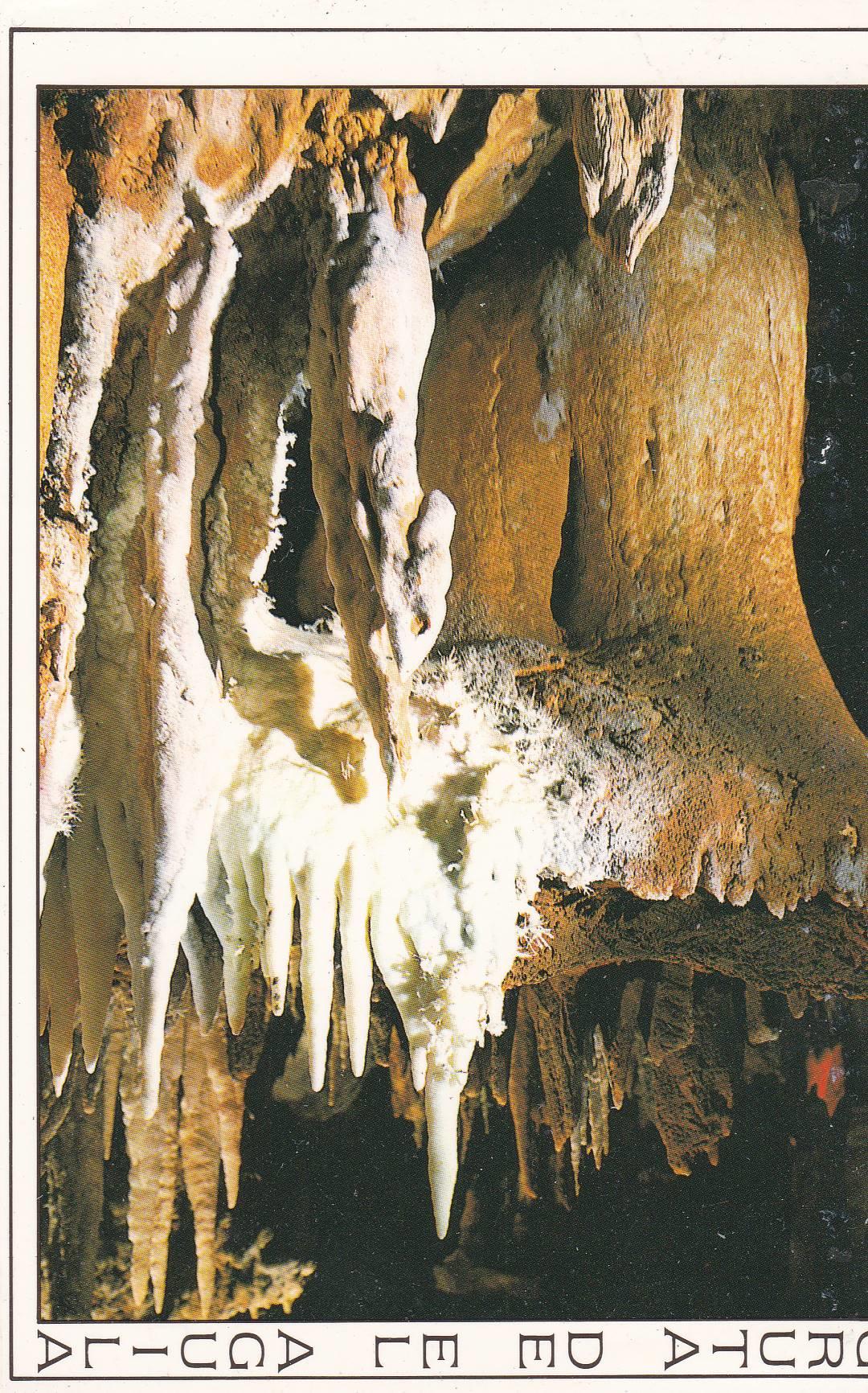 POSTAL B9891: AVILA: ARENAS DE SAN PEDRO. GRUTA DEL AGUILA