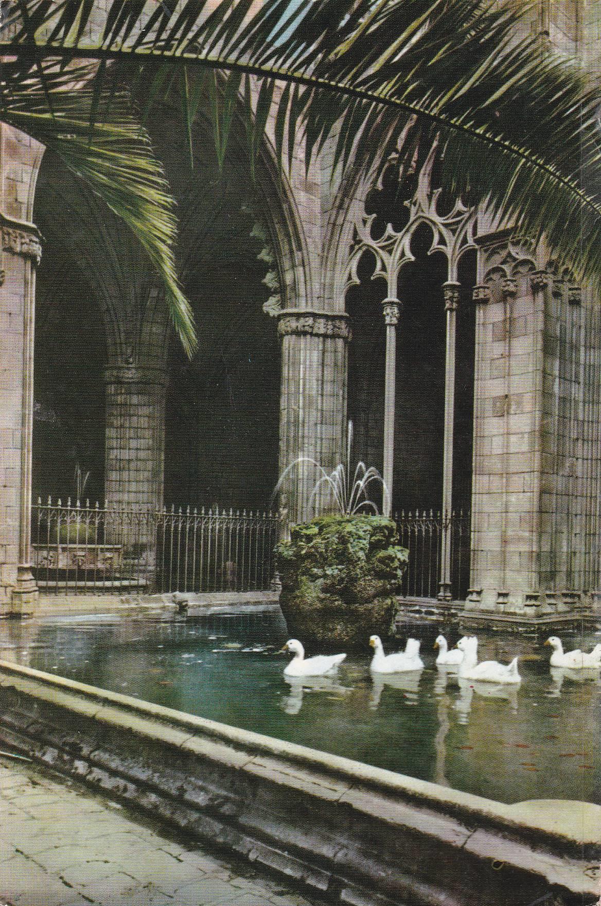 POSTAL B9896: BARCELONA: CATEDRAL. EL CLAUSTRO