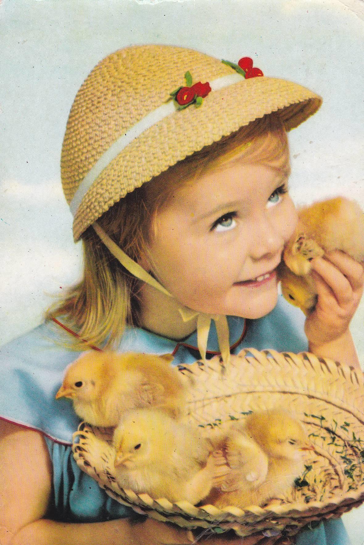 POSTAL B9897: IMAGEN NIÑA CON POLLITOS