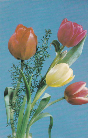 POSTAL B9944: POSTALES FLORALES