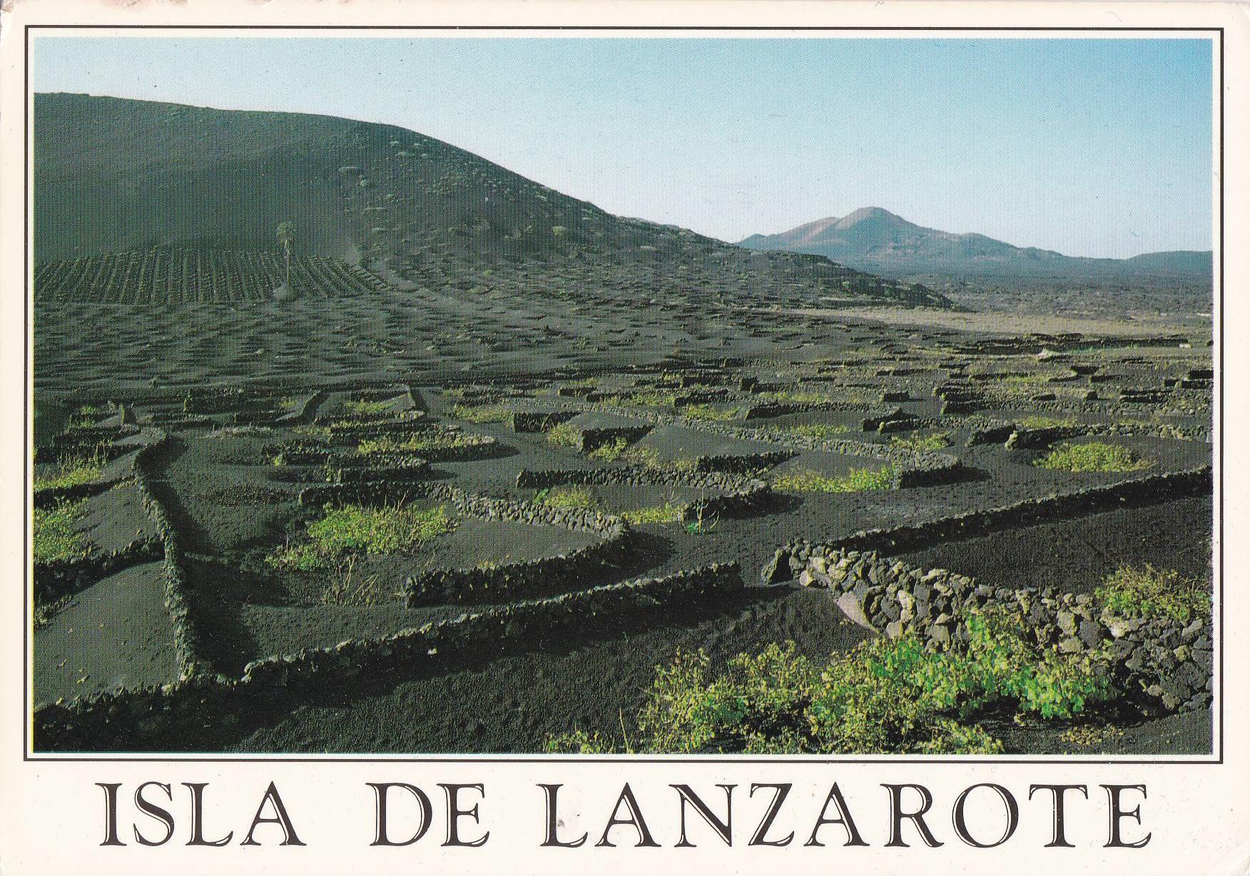 POSTAL B9976: LANZAROTE: PANORAMICA