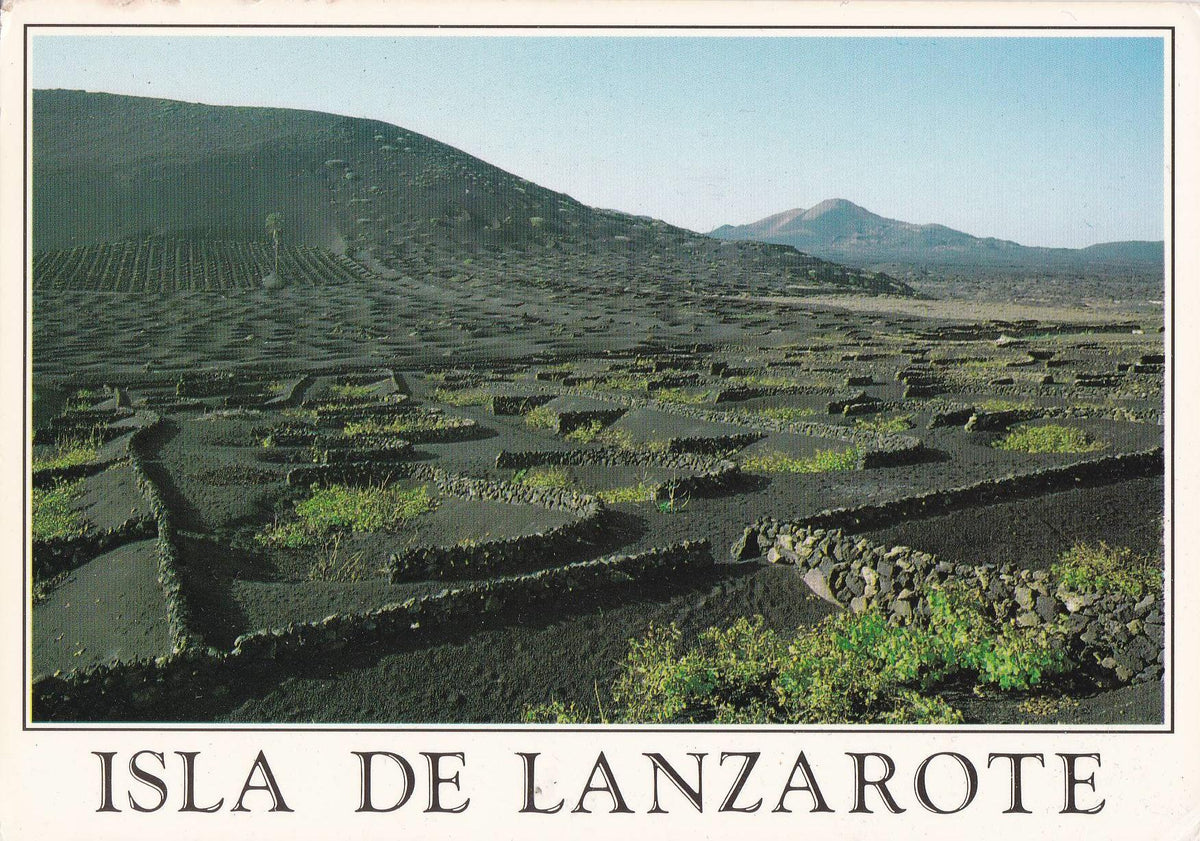POSTAL B9976: LANZAROTE: PANORAMICA