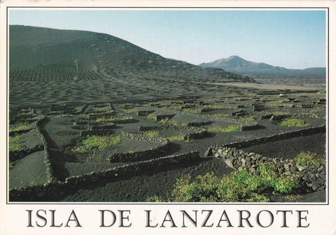 POSTAL B9976: LANZAROTE: PANORAMICA