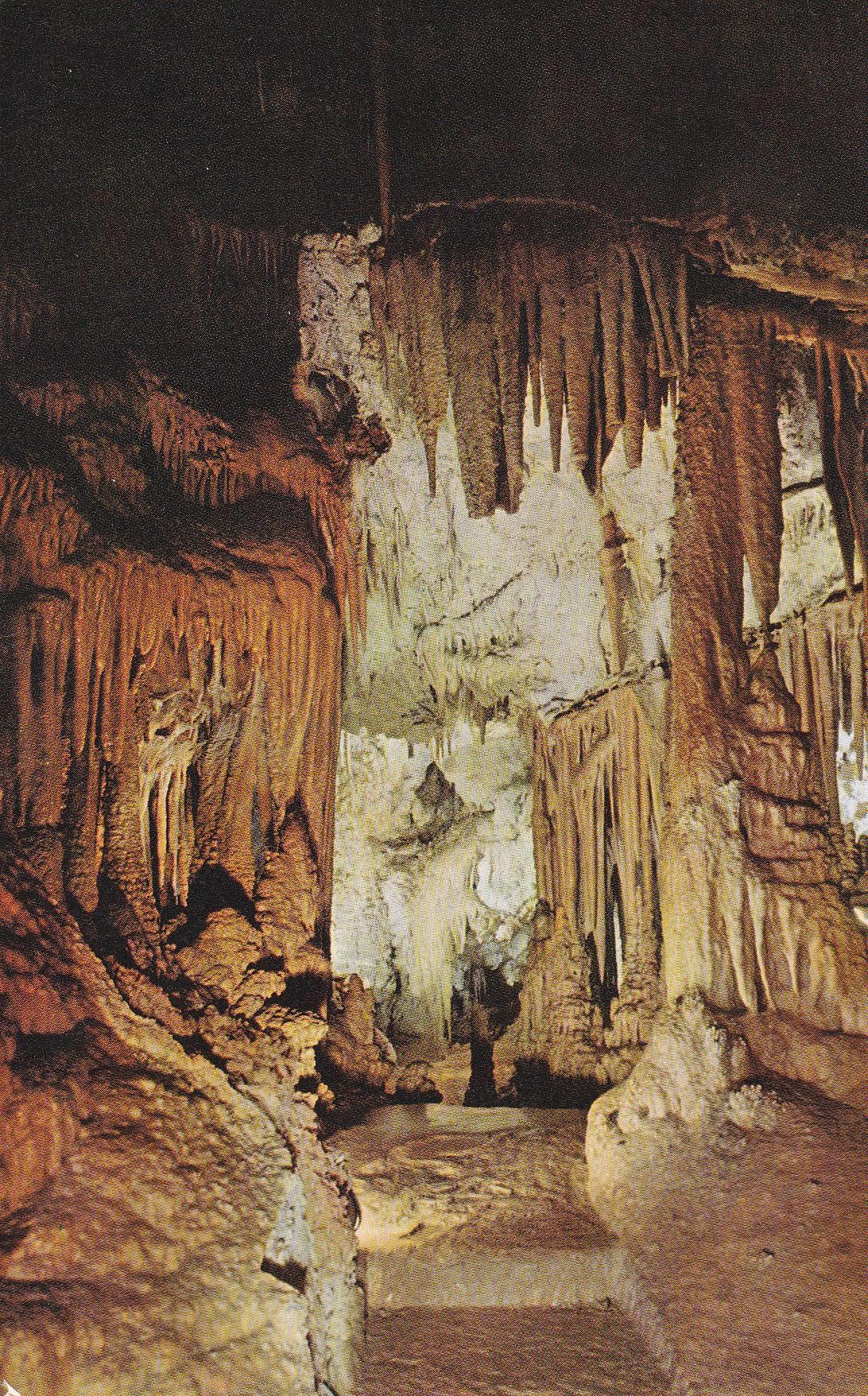 POSTAL B9980: MALLORCA. GENOVA: CUEVAS DE GENOVA