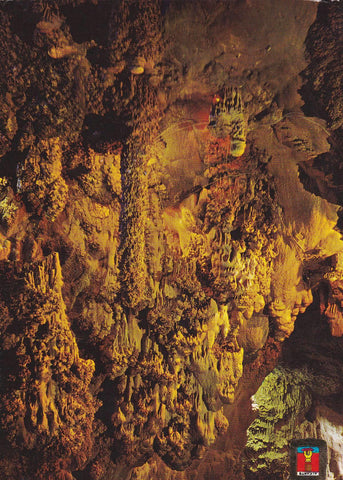POSTAL B9981: ALICANTE. BUSOT: CUEVAS DE CANALOBRE