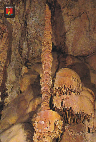 POSTAL B9982: ALICANTE. BUSOT: CUEVAS DE CANALOBRE