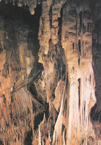 POSTAL B9995: ALICANTE. BUSOT: CUEVAS DE CANALOBRE
