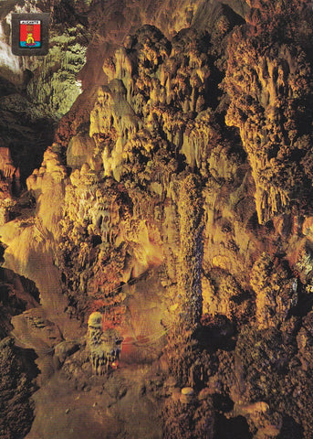 POSTAL B9997: CANTABRIA: CUEVAS DE ALTAMIRA