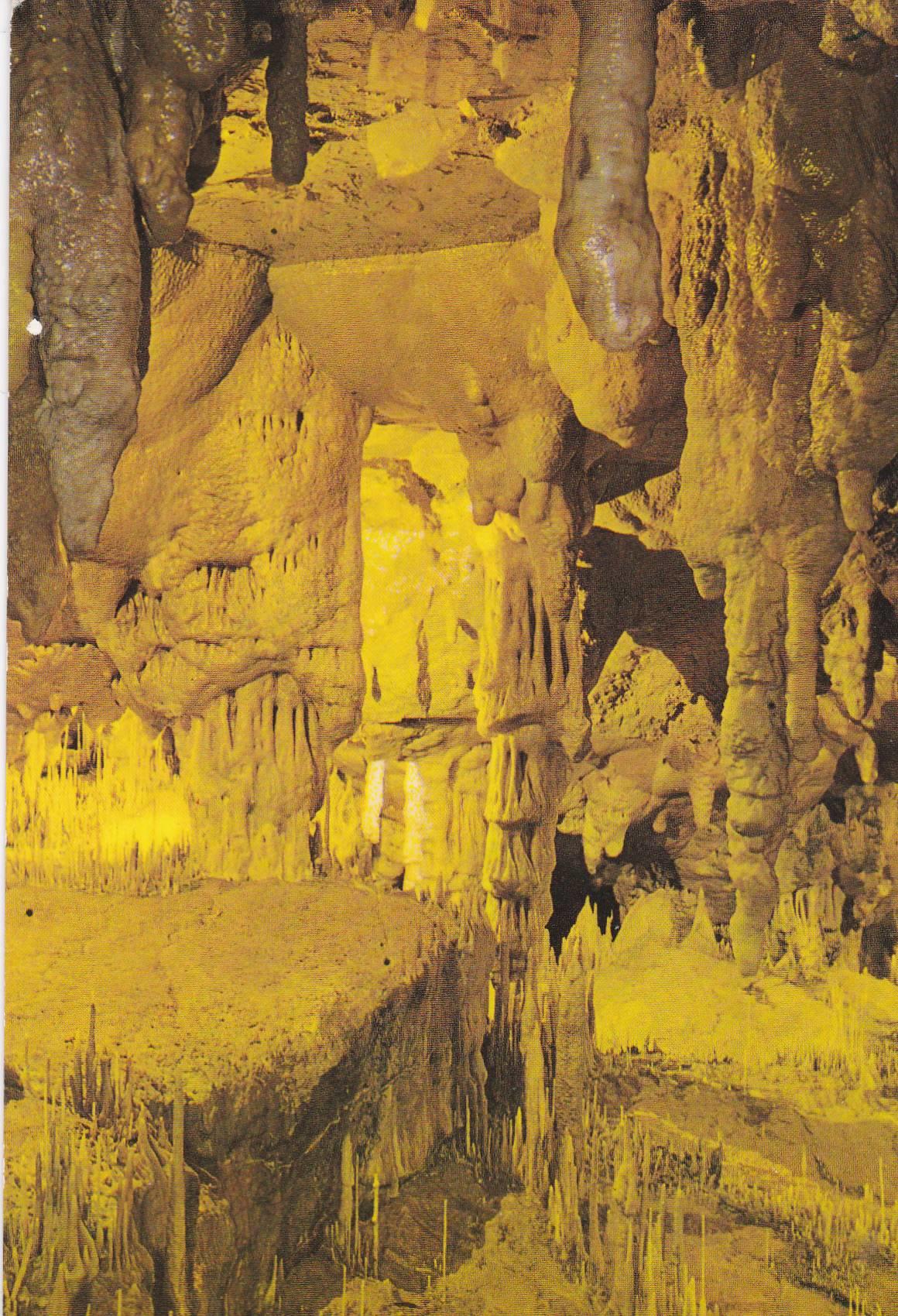 POSTAL B9998: ALPES MARITIMOS: GORGES DU CIANS