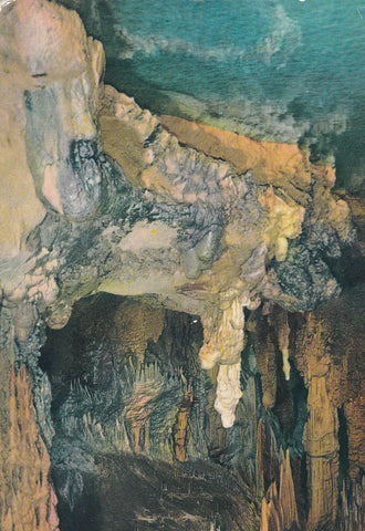 POSTAL B10002: ANGKOR: LES ORGUES