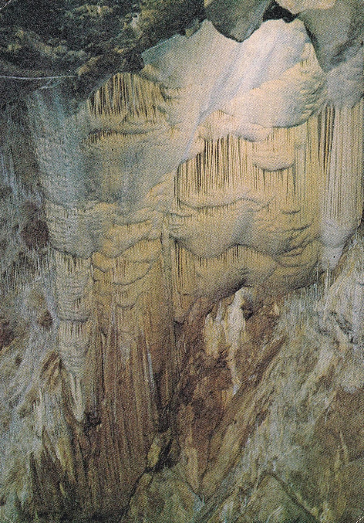 POSTAL B10003: VIZCAYA: CUEVAS SANTIMAMIÑE