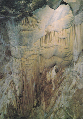 POSTAL B10003: VIZCAYA: CUEVAS SANTIMAMIÑE