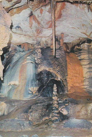 POSTAL B10007: ALICANTE. BUSOT: CUEVAS DE CANALOBRE