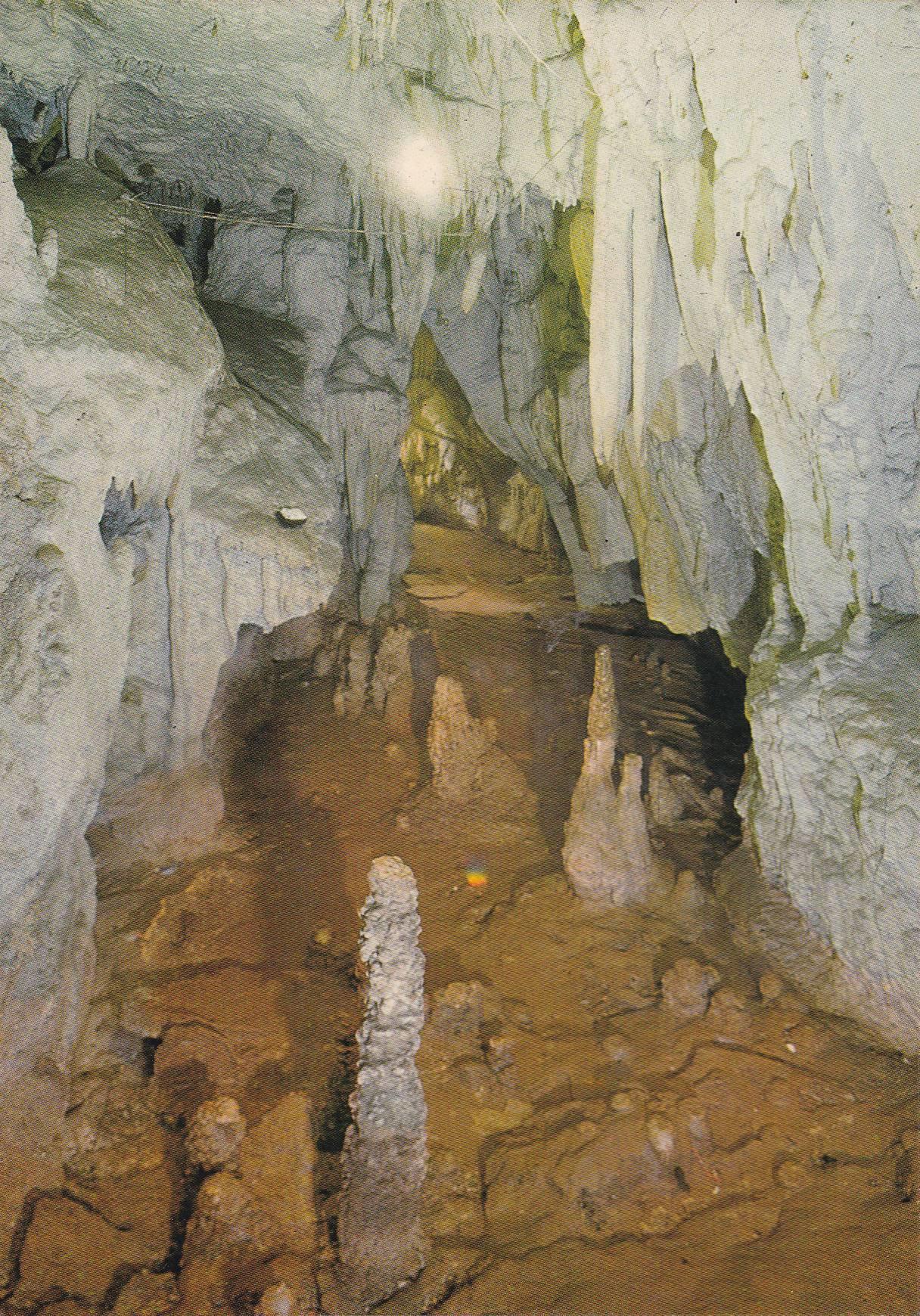 POSTAL B10012: VIZCAYA: CUEVAS SANTIMAMIÑE