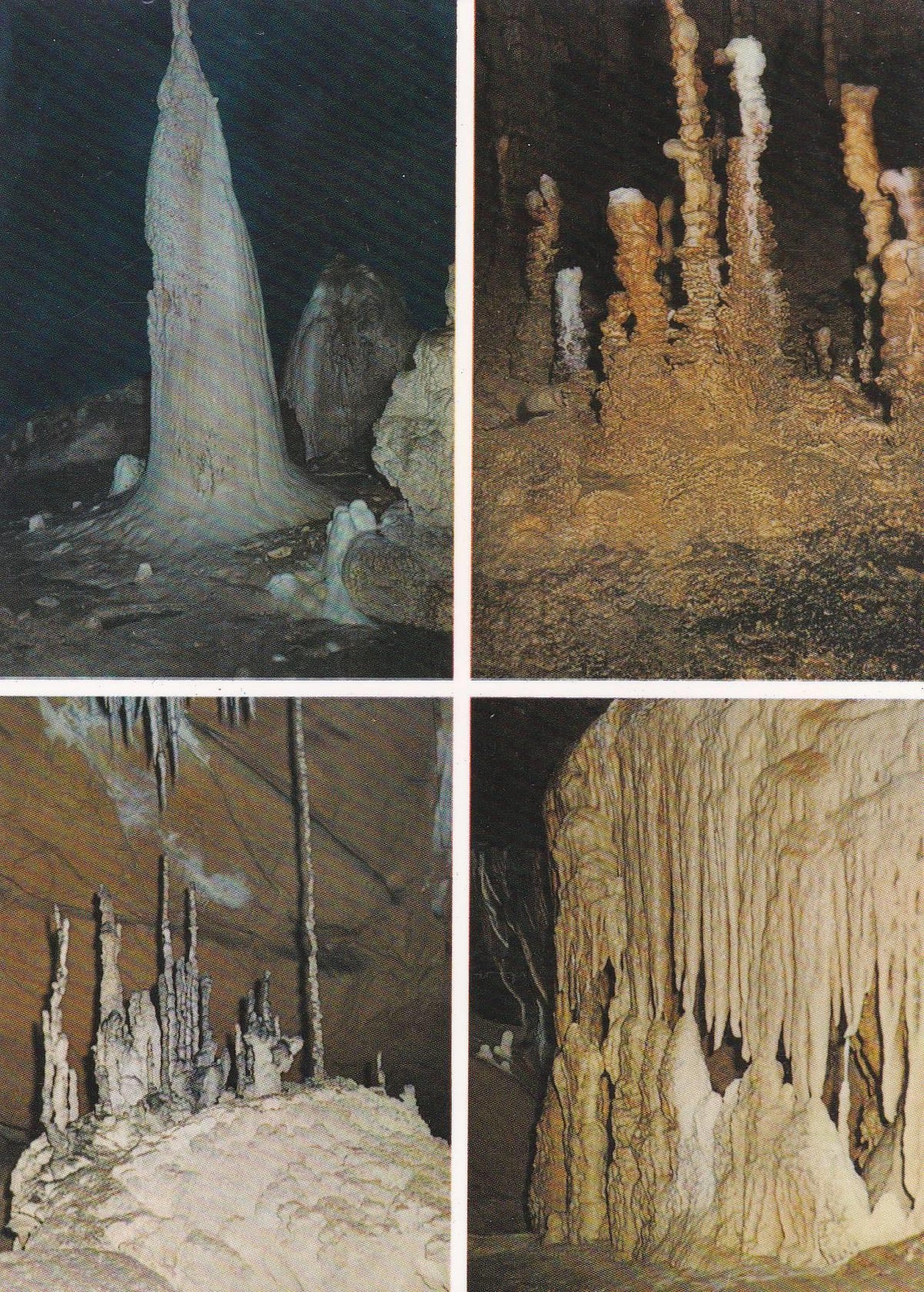 POSTAL B10014: VIZCAYA: CUEVAS SANTIMAMIÑE
