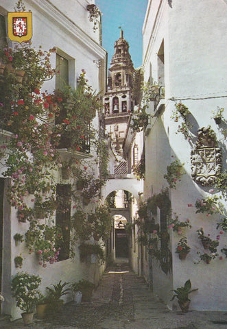 POSTAL B10146: CORDOBA: CALLE TIPICA