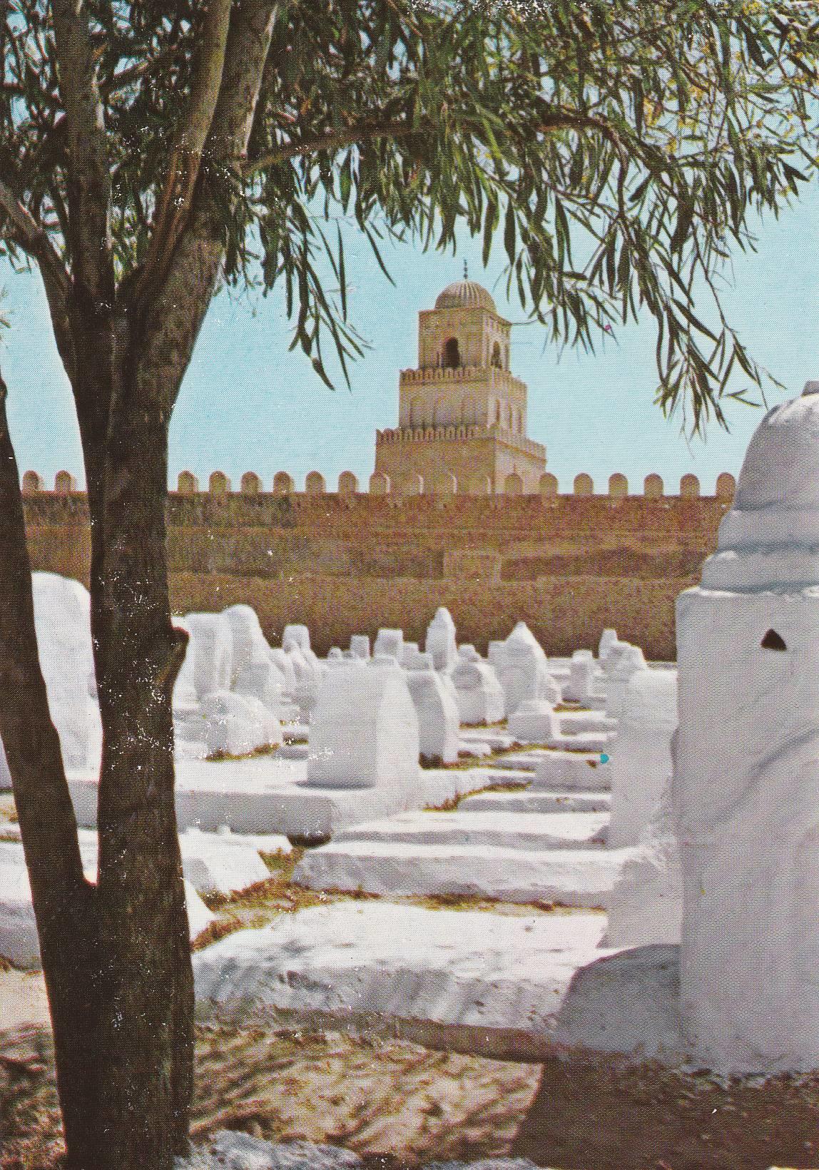 POSTAL B10235: TUNEZ. KAIROHUAN: DIVERSOS ASPECTOS