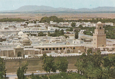 POSTAL B10239: TUNEZ. KAIROHUAN: DIVERSOS ASPECTOS