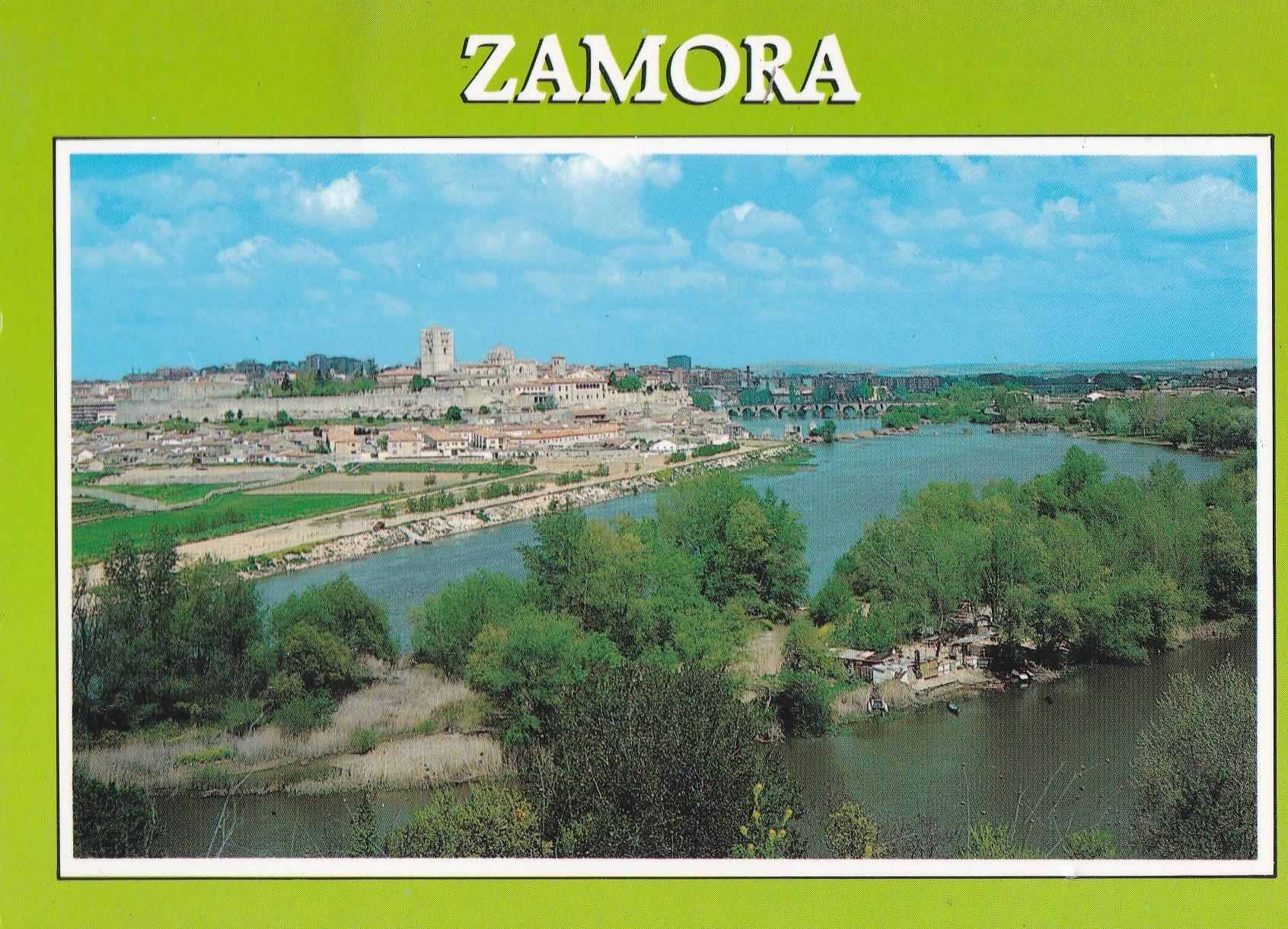 POSTAL B10243: ZAMORA: VISTA PANORAMICA