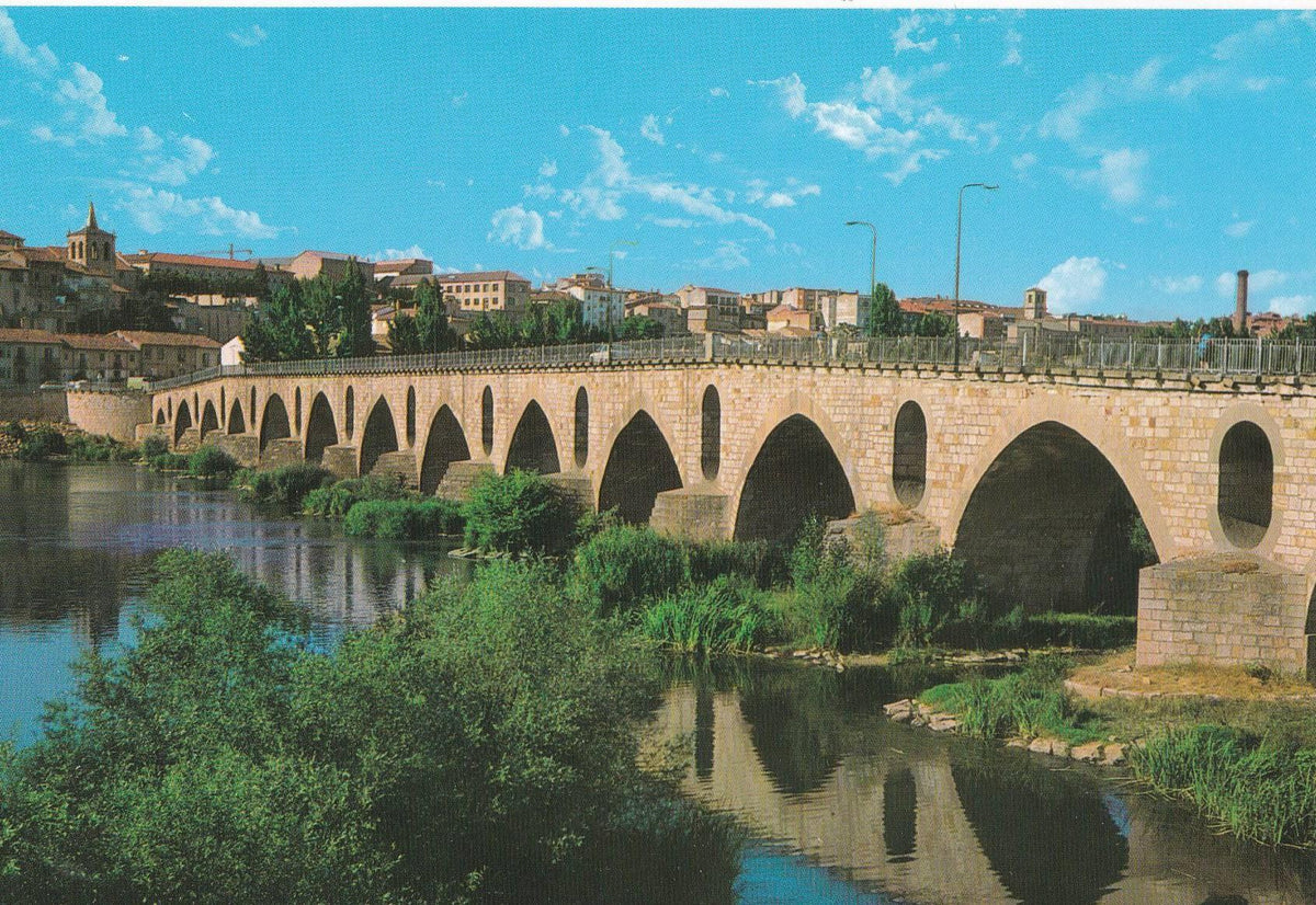 POSTAL B10244: ZAMORA: PUENTE DE PIEDRA y RIO DUERO