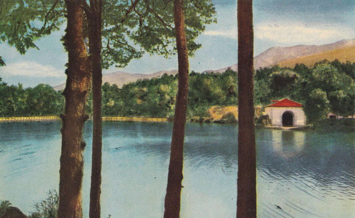 POSTAL B10260: SEGOVIA: LA GRANJA DE SAN ILDEFONSO. DIVERSOS ASPECTOS