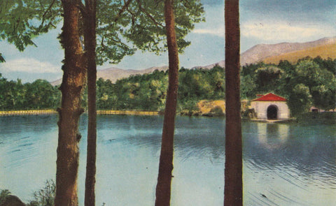 POSTAL B10260: SEGOVIA: LA GRANJA DE SAN ILDEFONSO. DIVERSOS ASPECTOS