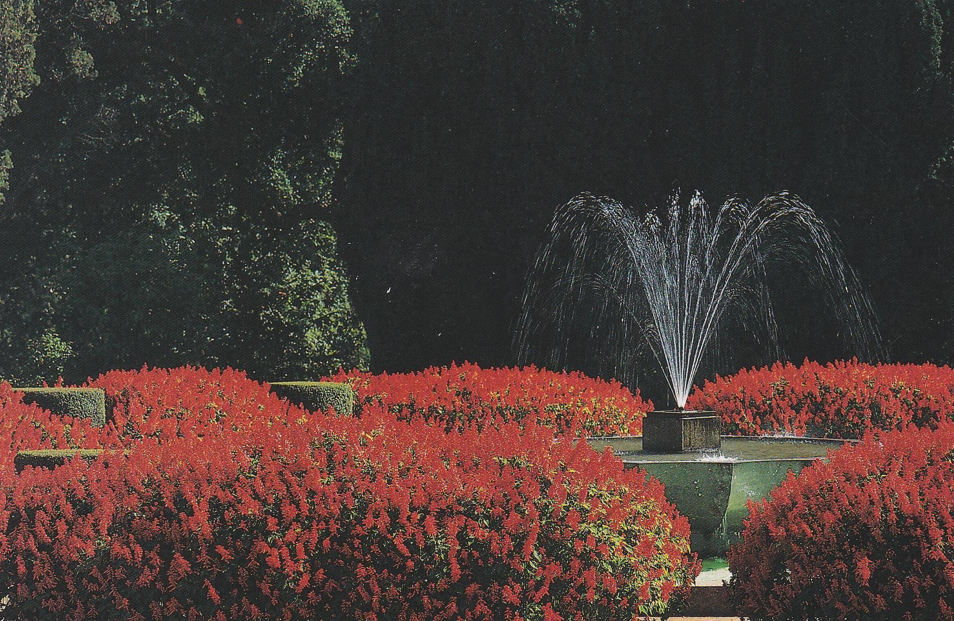 POSTAL B10299: PORTUGAL: FUNDACION DE SERRALVES. DIVERSOS ASPECTOS