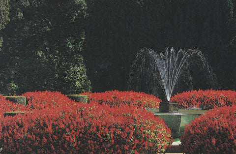 POSTAL B10299: PORTUGAL: FUNDACION DE SERRALVES. DIVERSOS ASPECTOS