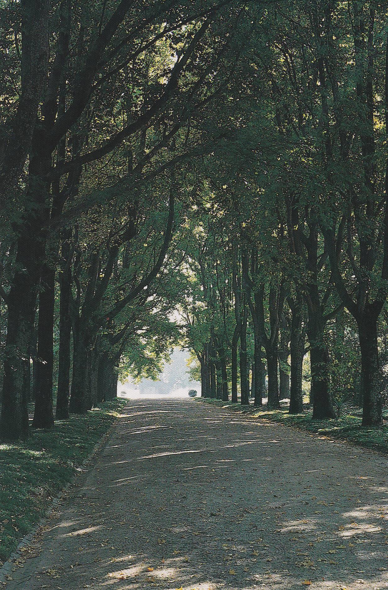 POSTAL B10302: PORTUGAL: FUNDACION DE SERRALVES. DIVERSOS ASPECTOS