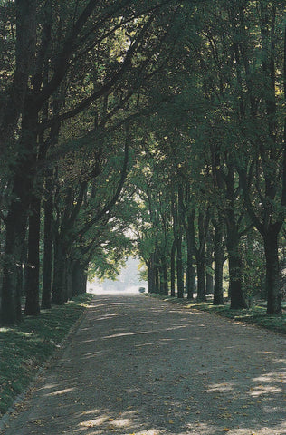 POSTAL B10302: PORTUGAL: FUNDACION DE SERRALVES. DIVERSOS ASPECTOS